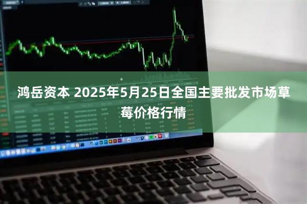 鸿岳资本 2025年5月25日全国主要批发市场草莓价格行情
