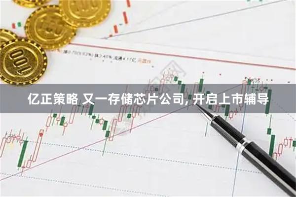 亿正策略 又一存储芯片公司, 开启上市辅导