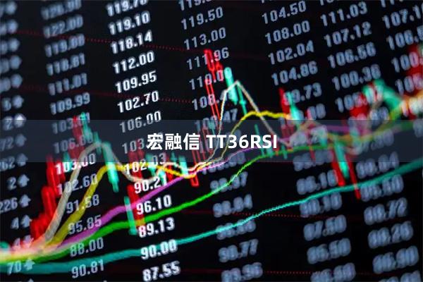 宏融信 TT36RSI