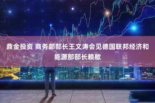 鼎金投资 商务部部长王文涛会见德国联邦经济和能源部部长赖歇