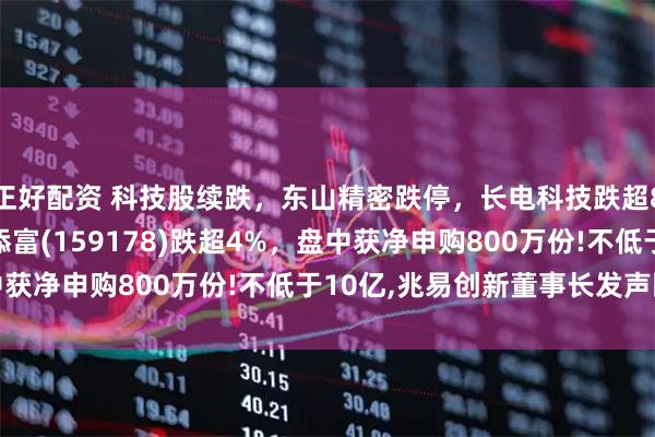 正好配资 科技股续跌，东山精密跌停，长电科技跌超8%，消费电子ETF汇添富(159178)跌超4%，盘中获净申购800万份!不低于10亿,兆易创新董事长发声回购