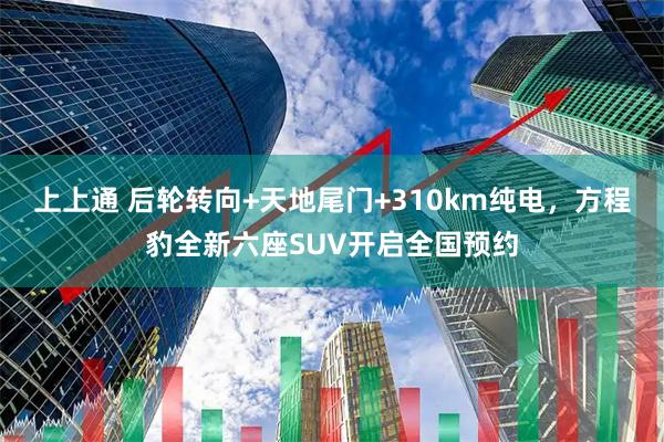 上上通 后轮转向+天地尾门+310km纯电，方程豹全新六座SUV开启全国预约